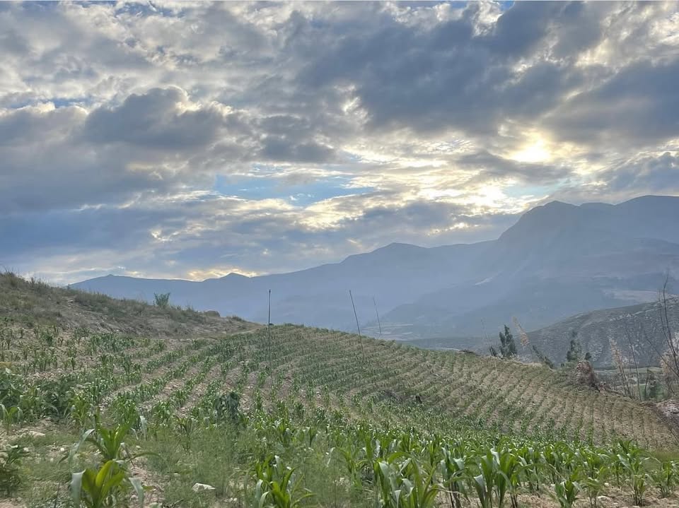 541476419_1133327515361303_3950837404683470420_n