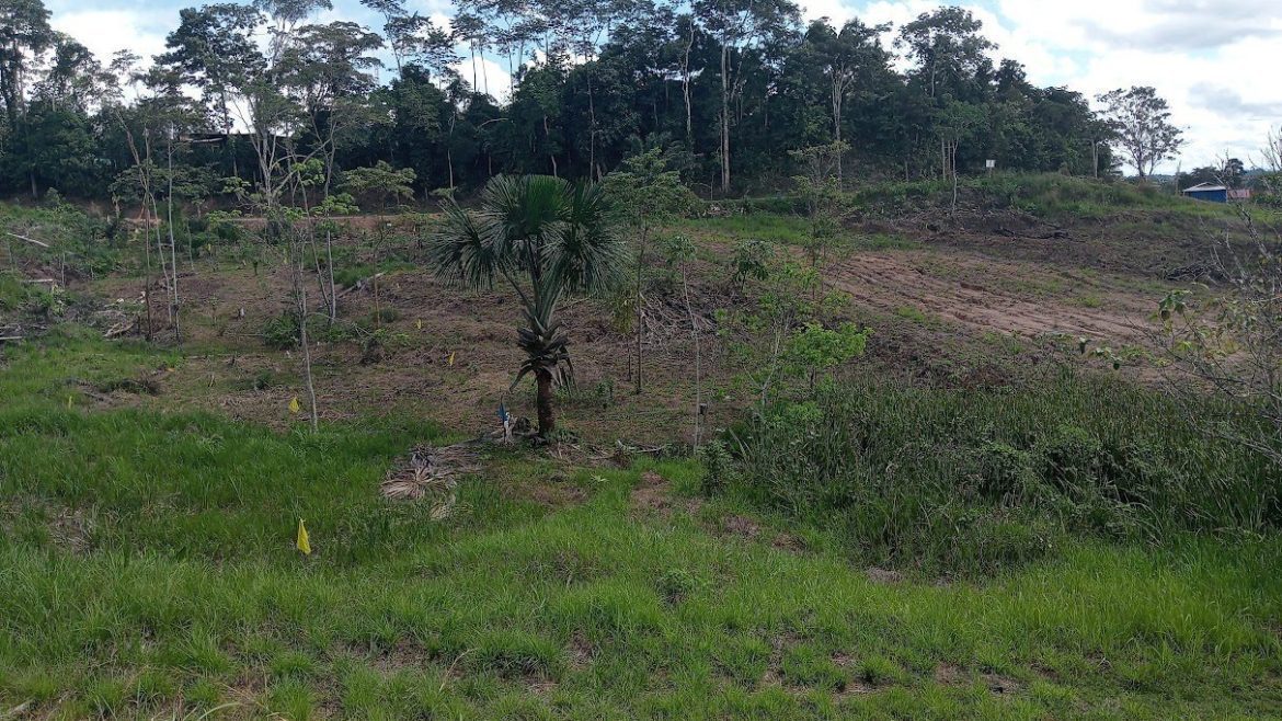 Venta de Lotes Proyecto SOL DE PALMA
