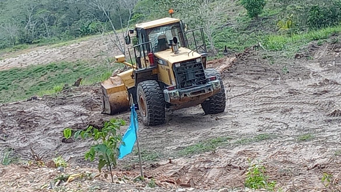 Venta de Lotes Proyecto SOL DE PALMA