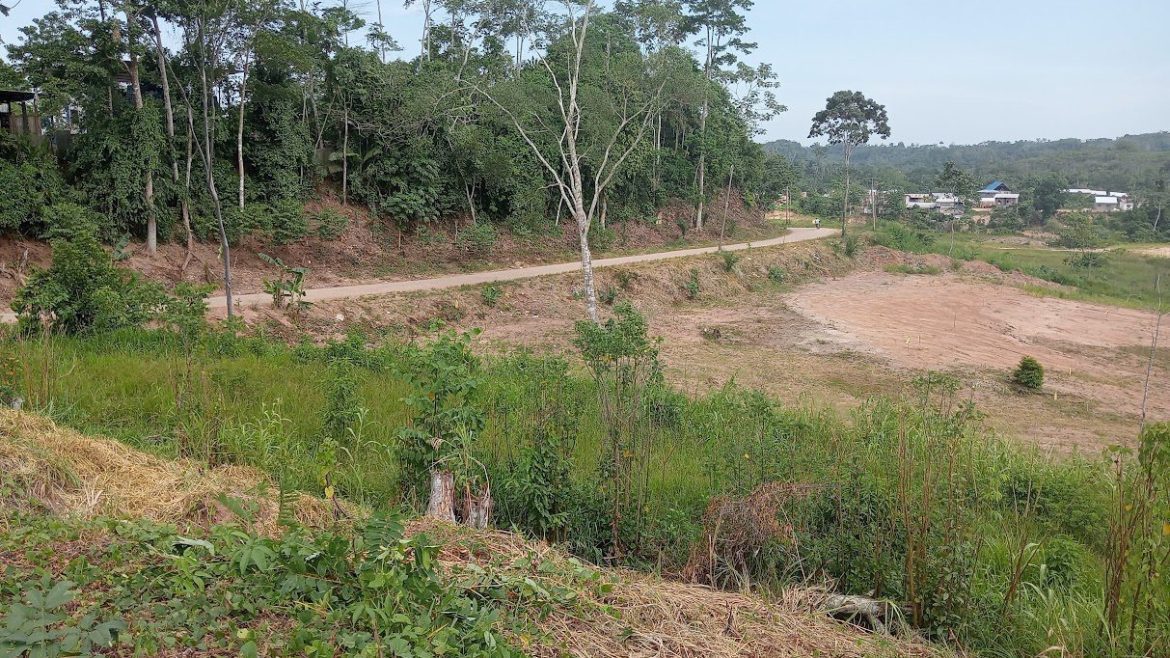 Venta de Lotes Proyecto SOL DE PALMA