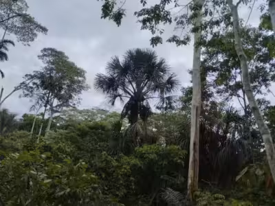 Venta de Terreno en Santa Maria de Nieva 3